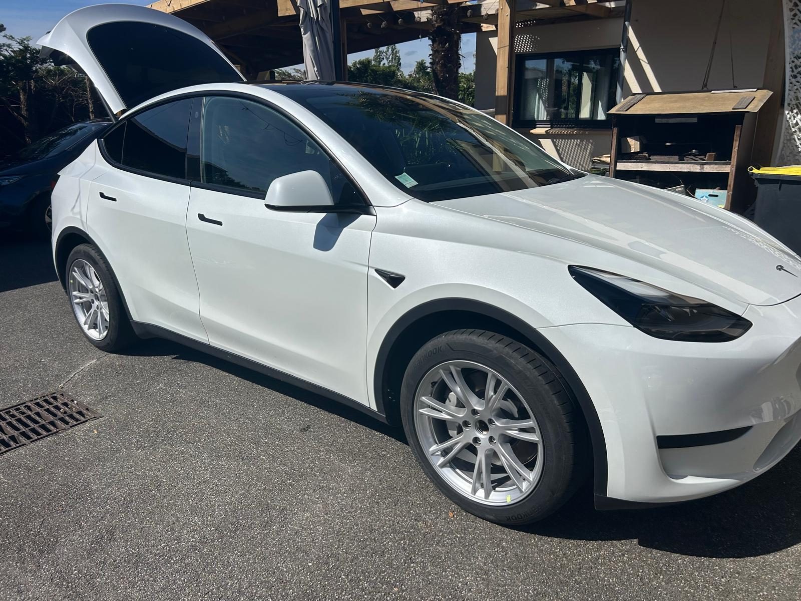 Tesla Model Y - Miniature 2